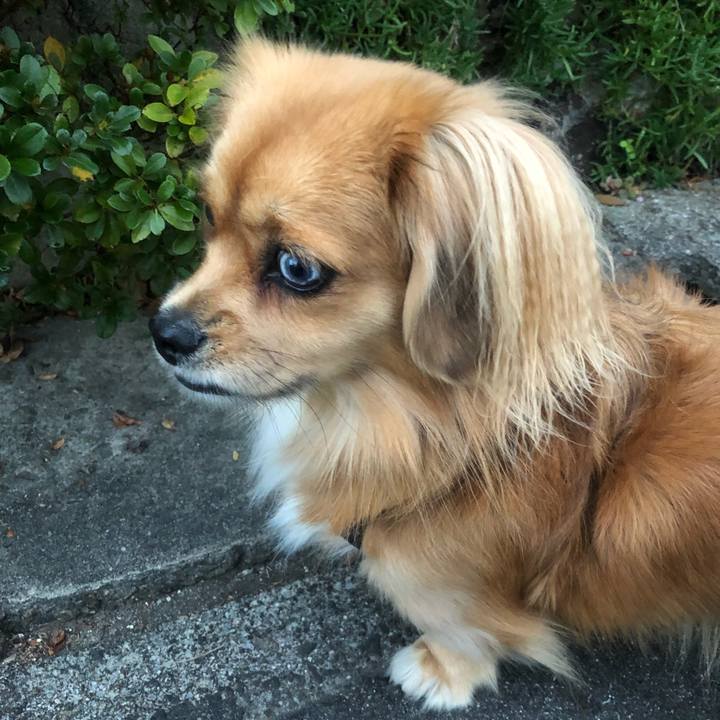 43043ce0 80ae 4960 85b7 b2a042952a60 1542058668429