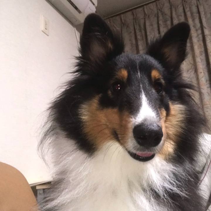 4304503e 36c2 4ef8 9b2b 6fd8e892a0f7 1539640690699