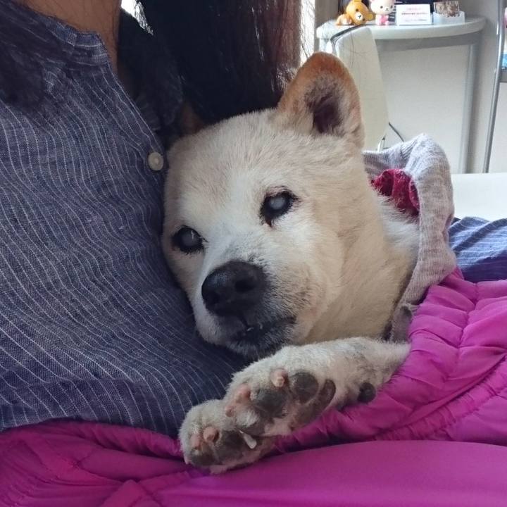 43045e59 a61e 4c86 915c b1f5b989c5af 1528517015370