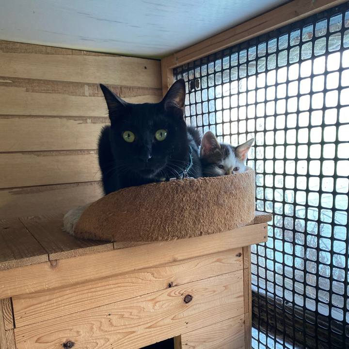 4304adbd 1c7e 4290 9a29 48c0002f4143 1602288745106