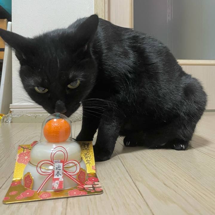 4304d3a1 edf9 4b98 b5c9 882d5f155c4b 1767256484473