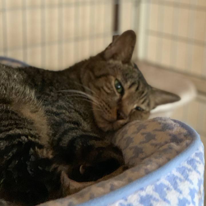 4304ded2 d81f 42ce b634 9678e81a8580 1600305017207