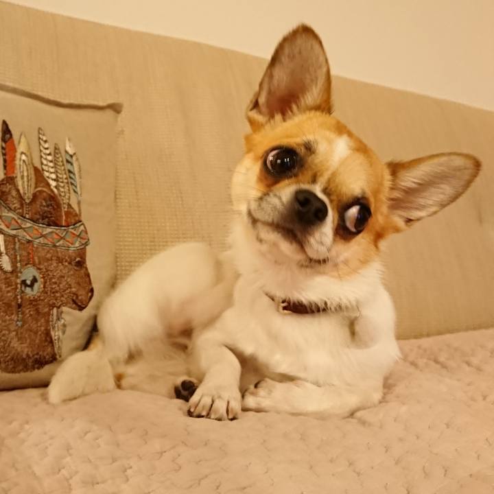 4304e056 d128 4731 8939 aecdcc16db02 1555489006472