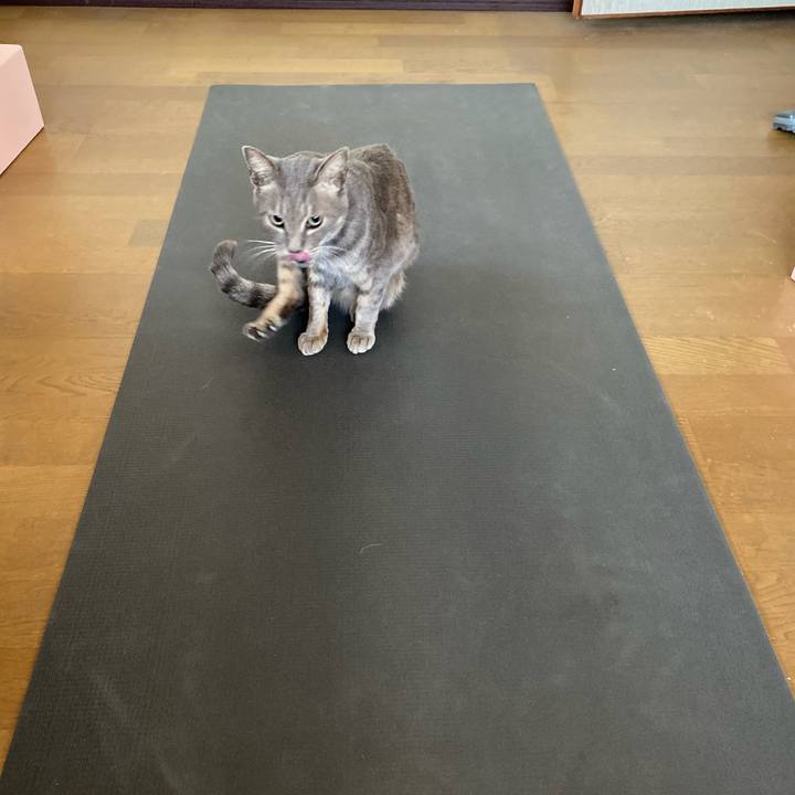 4304ed4a 9b7e 40df b745 840f5f23febf 1575430325404