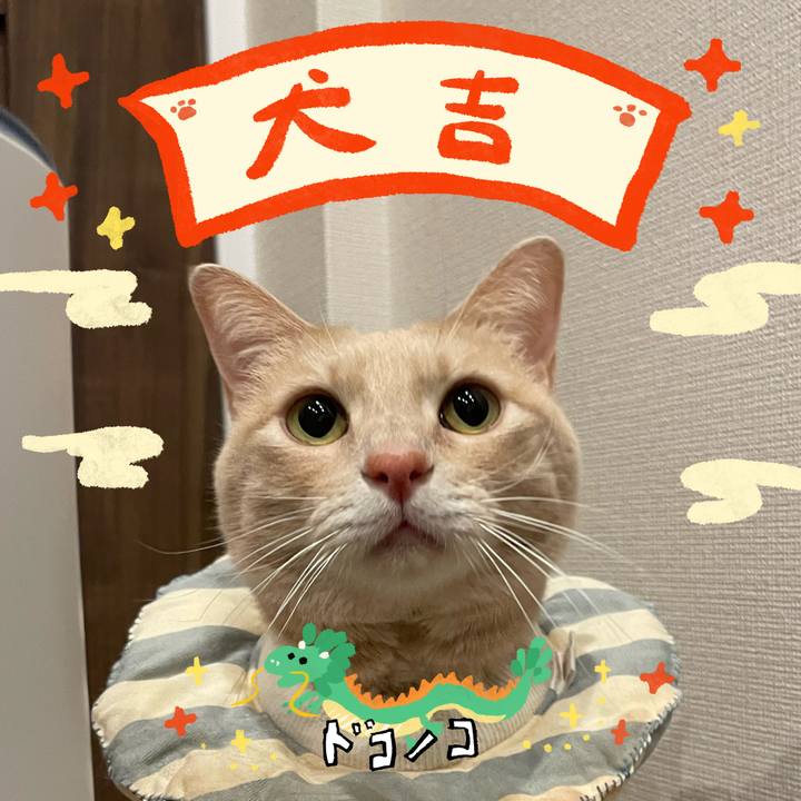 43052a49 a3a4 4071 a0cd db924ab88179 1704248898895