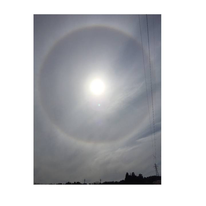 430532a8 cb55 494e b734 727c8aed1243 1586239012440