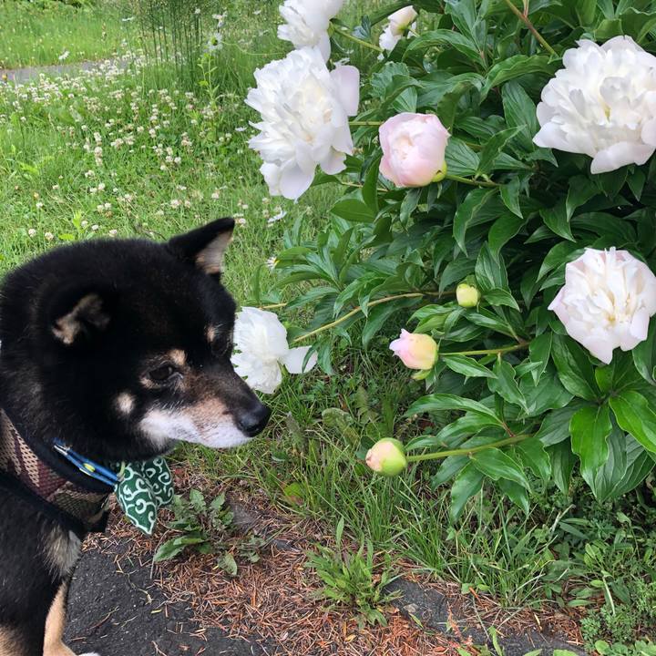 4305aa2a 5ec6 40ed b0c6 3b647c3beb84 1530007161522