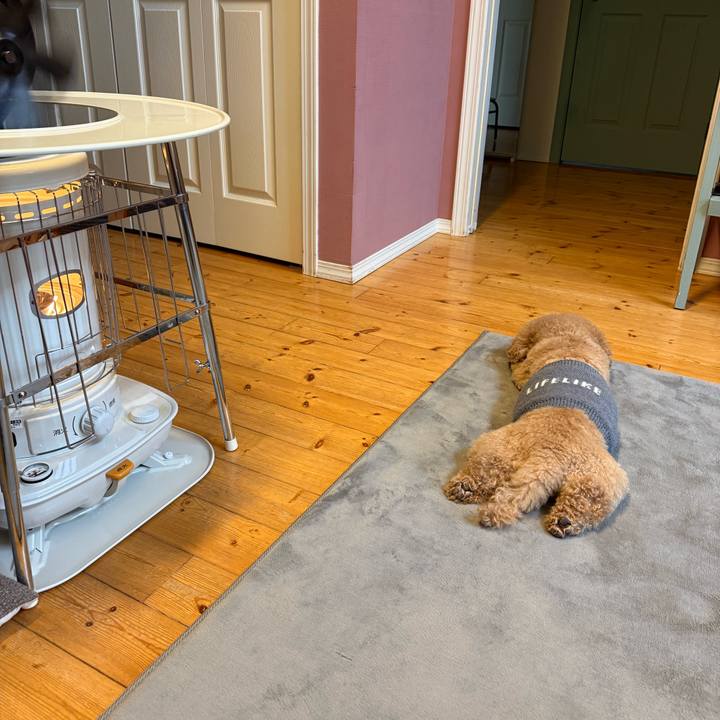 4305e40b 3662 4695 a099 f82e95e0a9f5 1770443523347