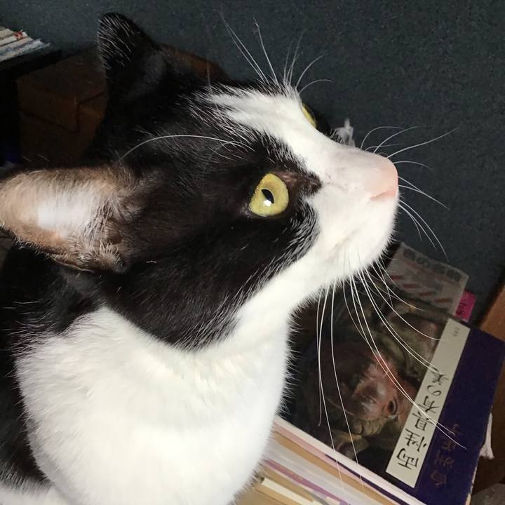 4305ef12 031c 4ce5 a539 ec1a1d08a925 1735255430842