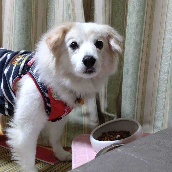 43061a9c 3d83 4fda 9dc1 7d4e054c234e 1642457096406