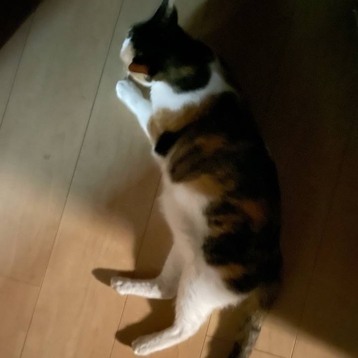 43061b75 1d54 48f7 a2d5 37735ba48baa 1692626911790