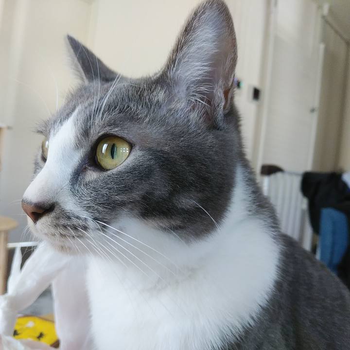 43066e5f ee74 4474 880b 79ef35921b0b 1588834342063