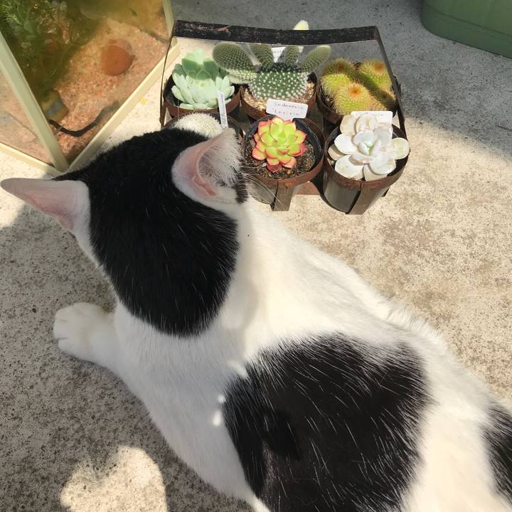 43067b2b 3861 4661 ae71 049a23585281 1524185708255