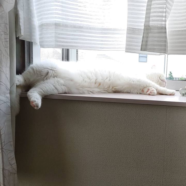 43067f3e 3673 4a80 9aa8 57c78dc72fe4 1627691452078