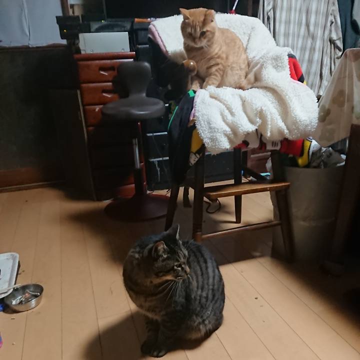 43069d7d 4745 46b3 8858 46d41bfcc534 1637009313388