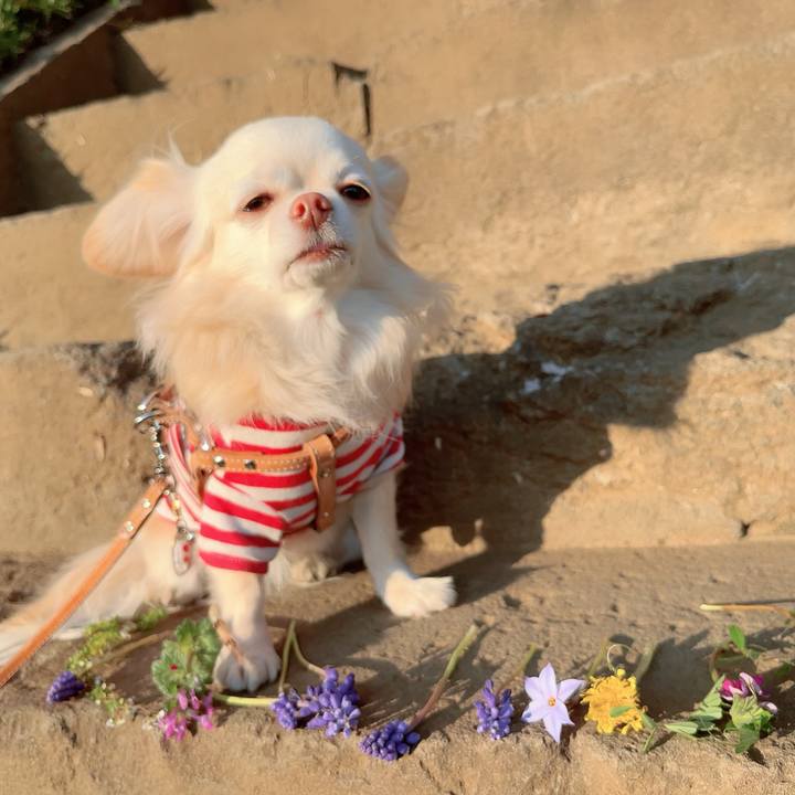 4306cd46 1387 4232 9964 42c7e63a3b2b 1711101850516