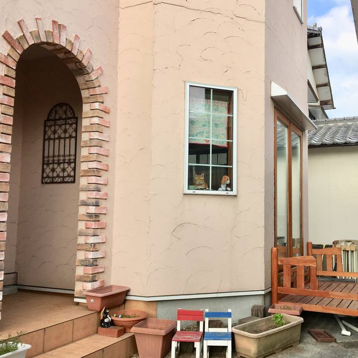 4306eac3 1c62 4427 b026 66157162a7dd 1520934490851