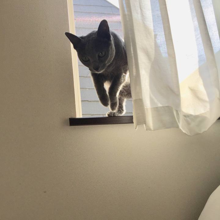 430713cf 44a3 4362 84a2 8c416716ae9a 1543749801604