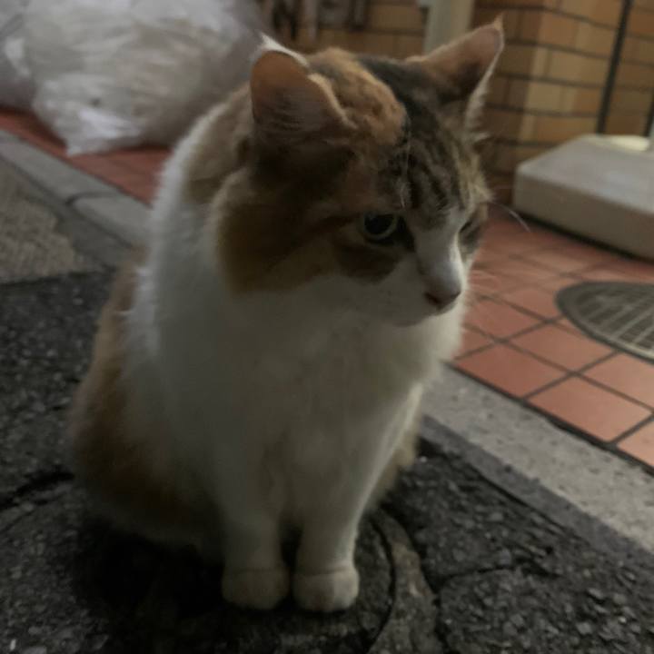 4307146d b63a 4635 ba00 81200c803ea2 1631158081890