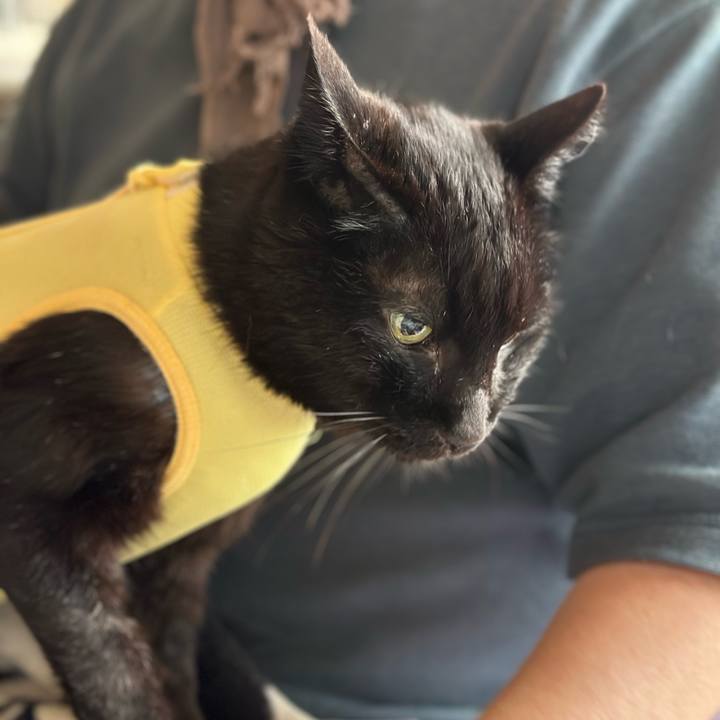 4307338c 134c 4505 a1d3 9d3ce40599df 1715739649082