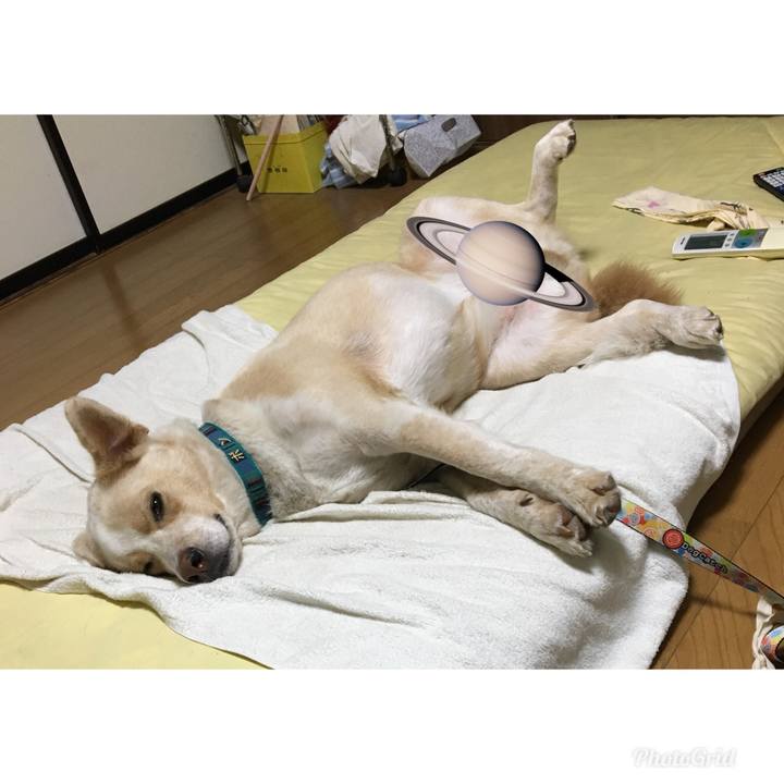 4307343a 9f84 4320 a385 74019576aa7a 1535985986822