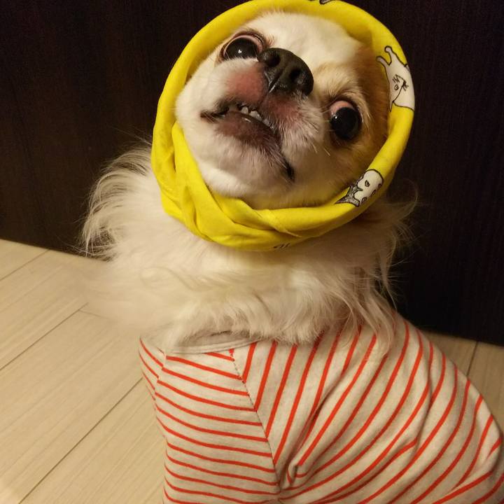 43073852 9847 4bc7 85a3 ff17f73b4285 1511180348359