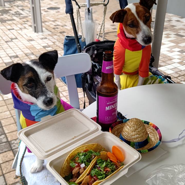 43073f64 318d 4409 9e69 e54d43bfcf9c 1686489461726