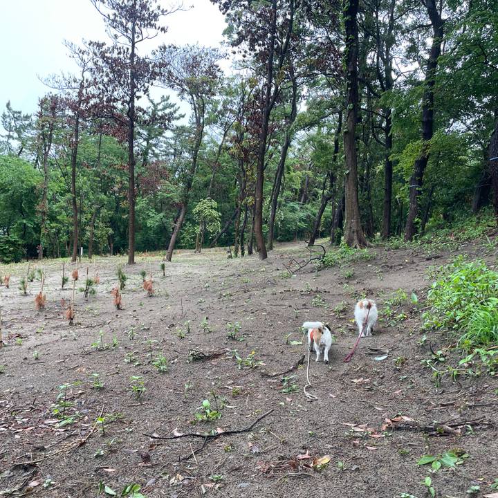 4307c199 4676 47da a425 4df16e0a72fe 1716937273269