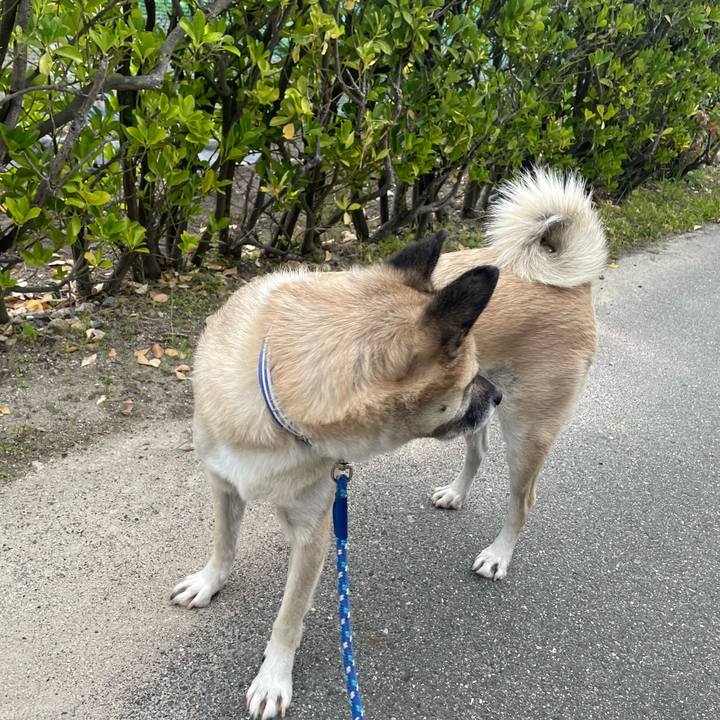 4307d194 4562 4fd8 86df e9f57d4c98b9 1667304743337