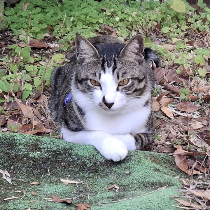 4307d47f 761a 4d75 adf3 2e93833b4aed 1766464345173