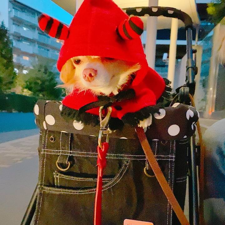 43083839 b01b 4780 b583 f386547f7ad4 1635322672311