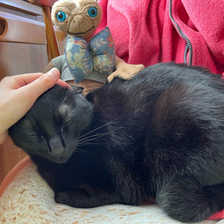 43084542 ab66 4b95 bd32 7ff4c6b87a9a 1678843360300