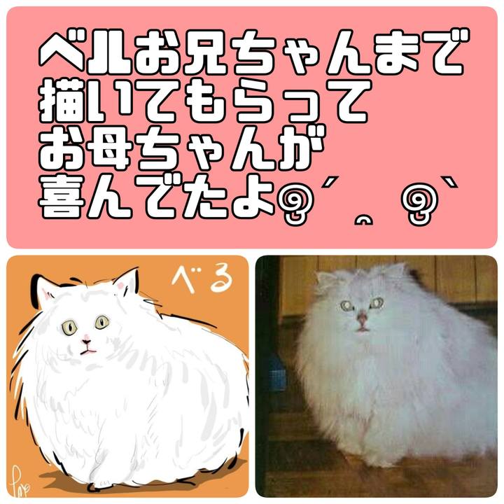 43084aea 3432 4271 93cb b96437e8a46e 1702521261058