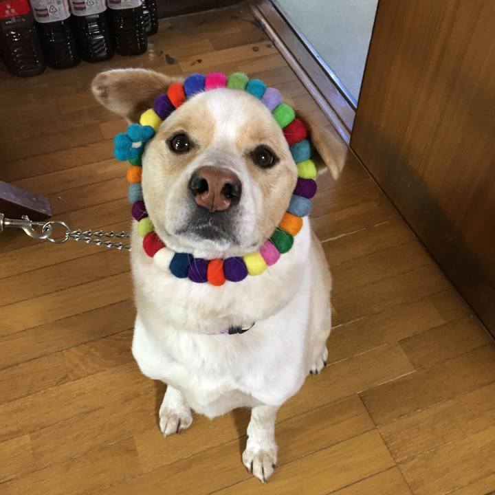 43084fb0 9105 418e 93d9 07536f8f2b18 1524869715108