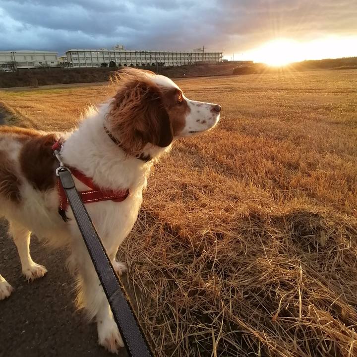 43085cce 90db 428d b7da 4bc6fceb2d3d 1578483864817