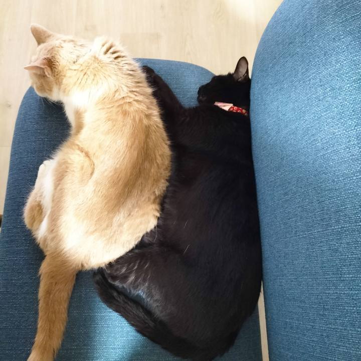 430868be fb0a 4f40 a49c 848aba864809 1687214100388