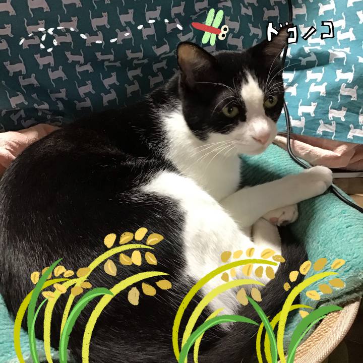 430878cd 605a 4bd2 a1ac 77a3739e5c2f 1761129006574