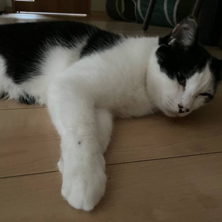 43088daf 91f3 492e a0d1 1a2ecd2d4b7c 1631137620863