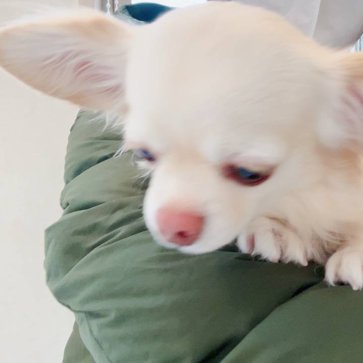 4308b00d 9c26 49e0 9b64 0fda28b713a6 1706845986685