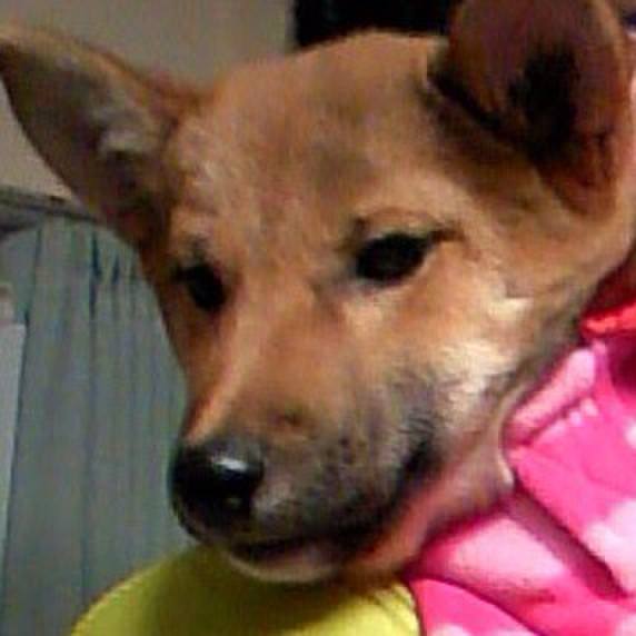 4308f67e 40ef 408f 8ea1 e8f2dc7ebaab 1522137430747