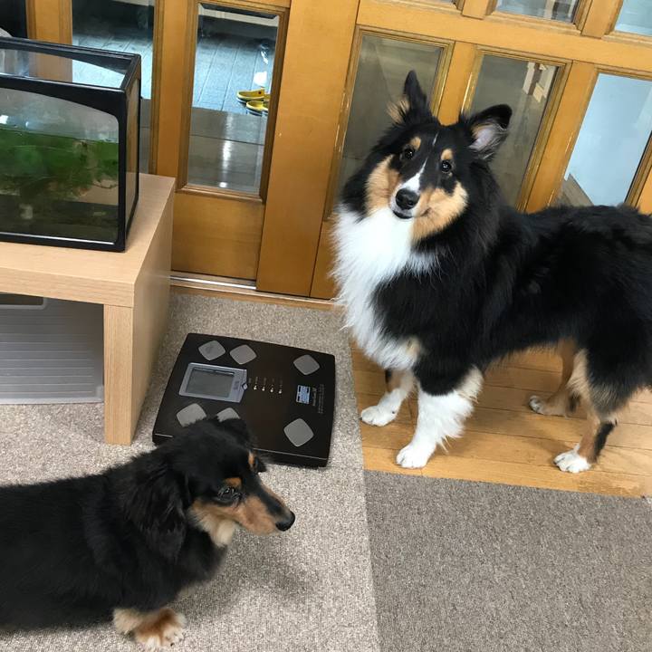 43090fa6 280a 4e47 b09e 82b9aab39f88 1529964311170