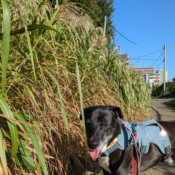 43091930 38a1 4f46 a309 9441947e1b7a 1728692543157