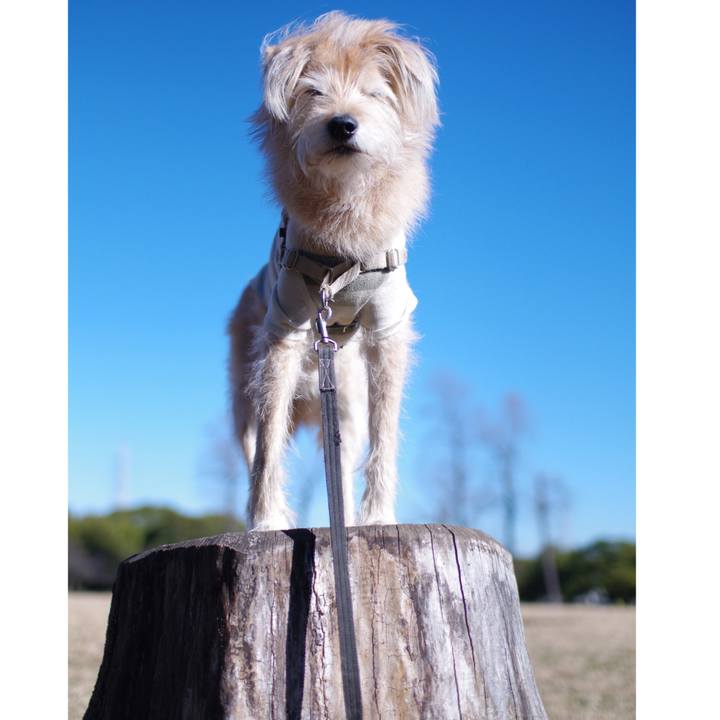 4309b133 ec81 47b4 92de 98c96f872f5b 1608544069393