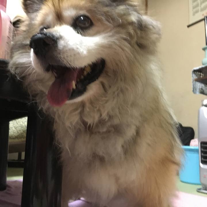 4309d92f 3bb6 4433 858b 81163aa4b238 1557220270953