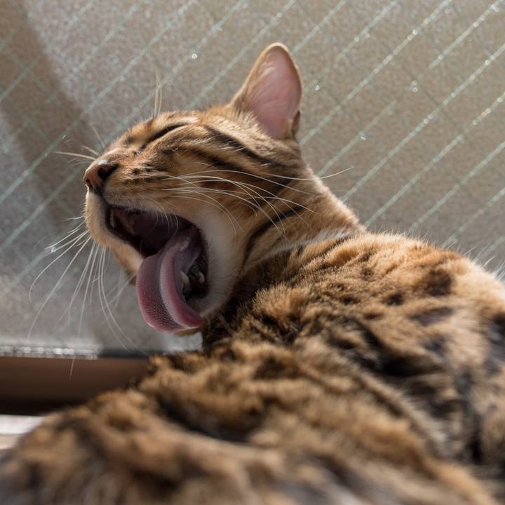 4309dc96 4aa7 44ac a80c d474faa4420f 1519700944512