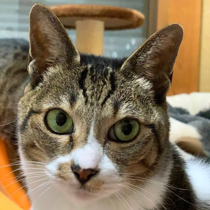 4309ddbf 783e 4c45 bce6 d52a49e3dbe0 1549588482893