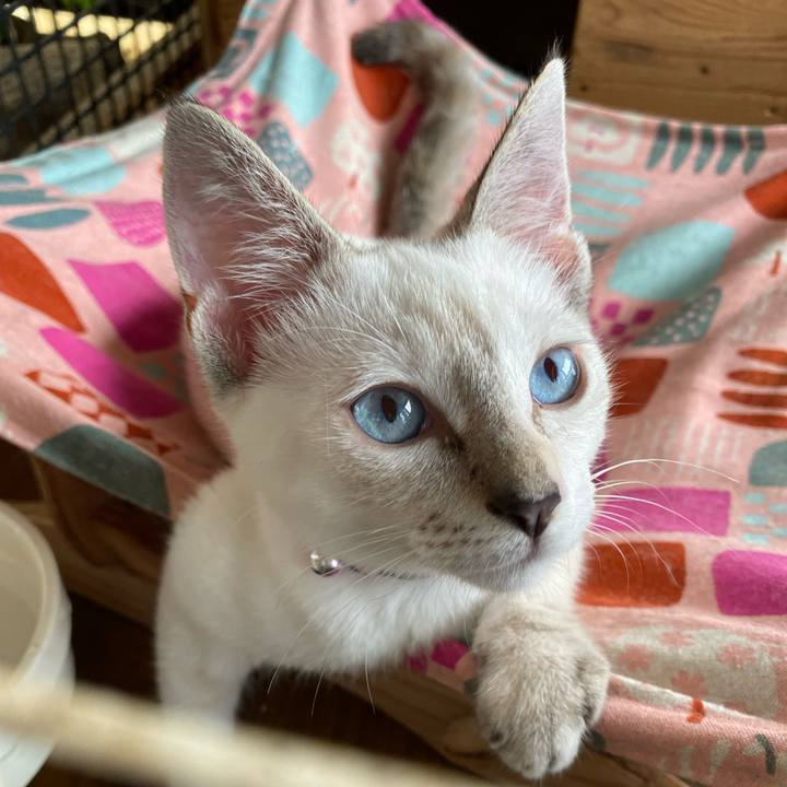 430a21a9 82b8 4417 a46e 0352e8bc1ba2 1628945134873