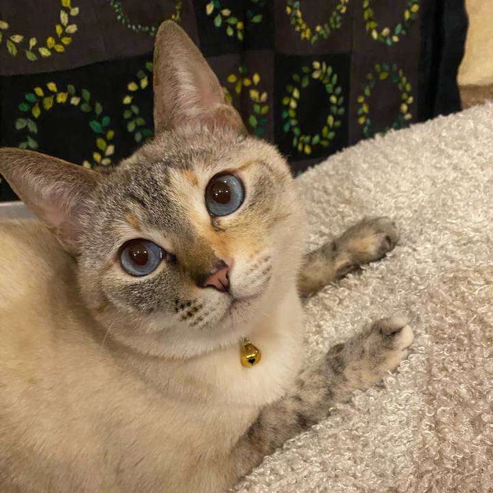 430a6b67 5a7b 4ca2 8fa9 ae76f0ee81e9 1738384576063