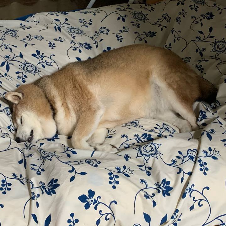 430a7206 d788 4db2 aa11 002417fe87dd 1606403295053