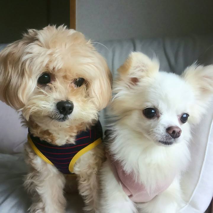 430a809d 4161 4367 8378 14b78322b014 1508589390335